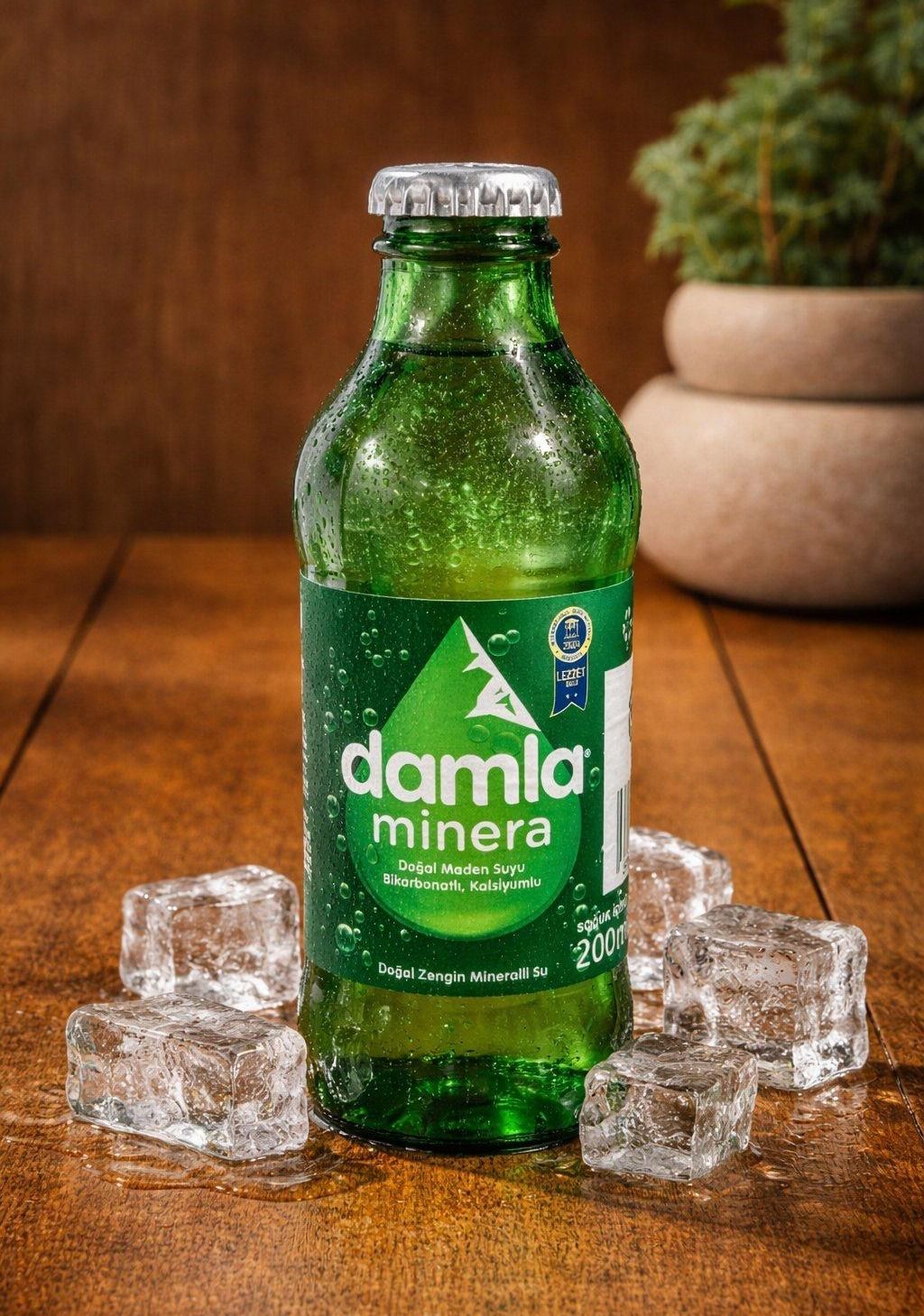 Soda (20 cl.)