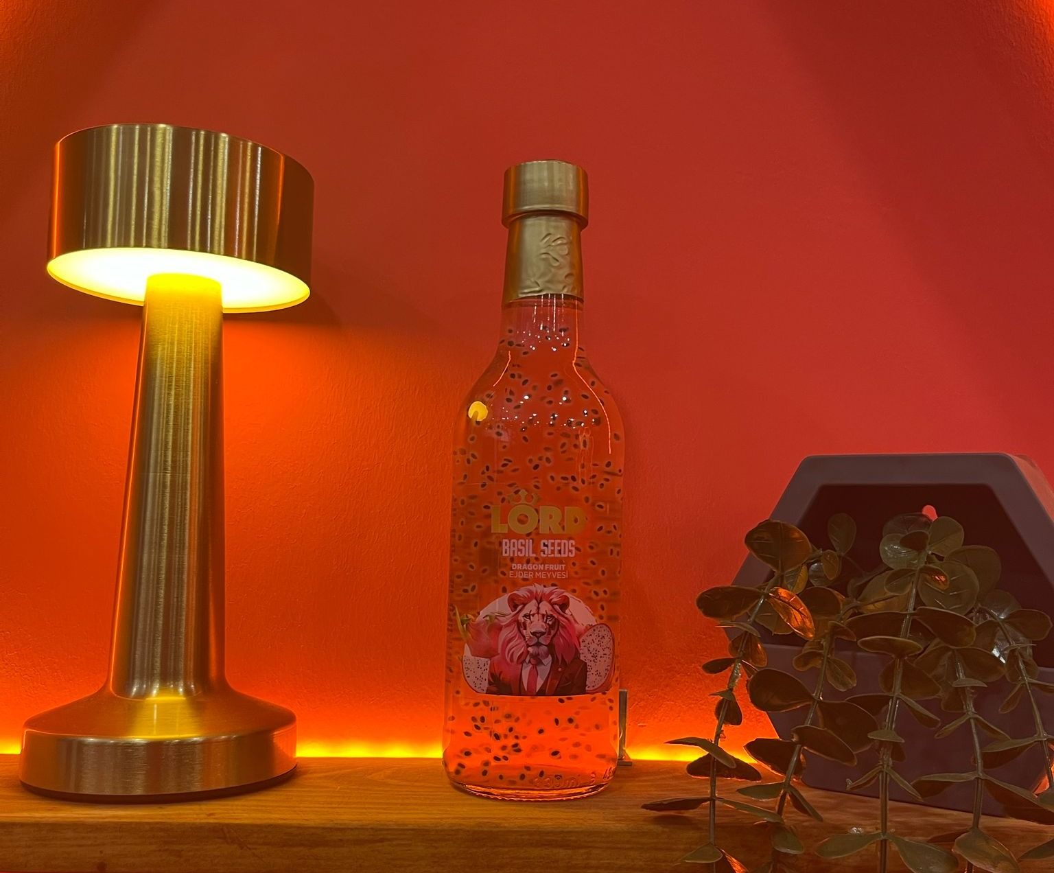 Lord Basıl Seeds Ejder Meyvesi (33 cl.)