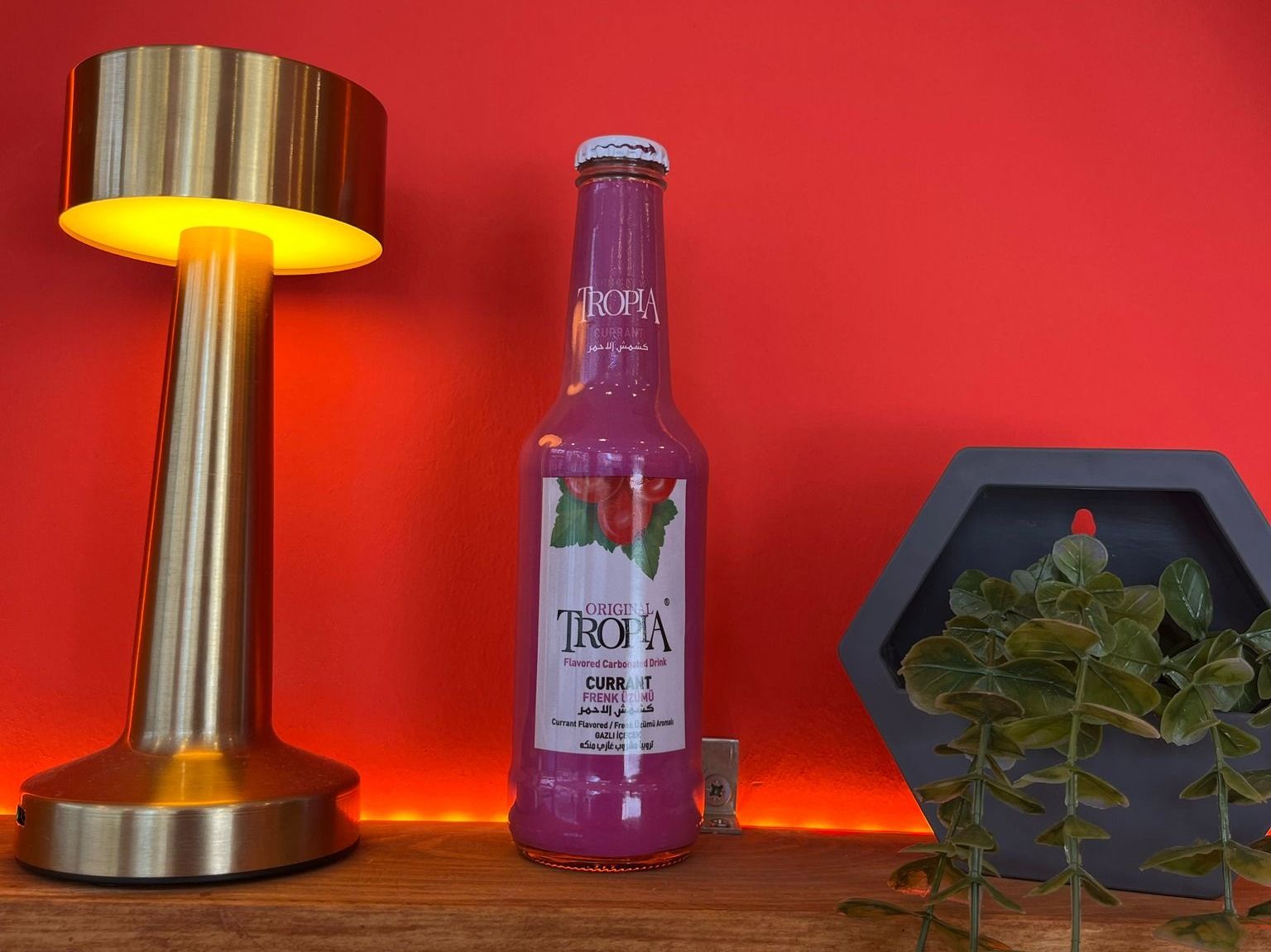 Tropia Frenk üzümü Gazoz (20 cl.)