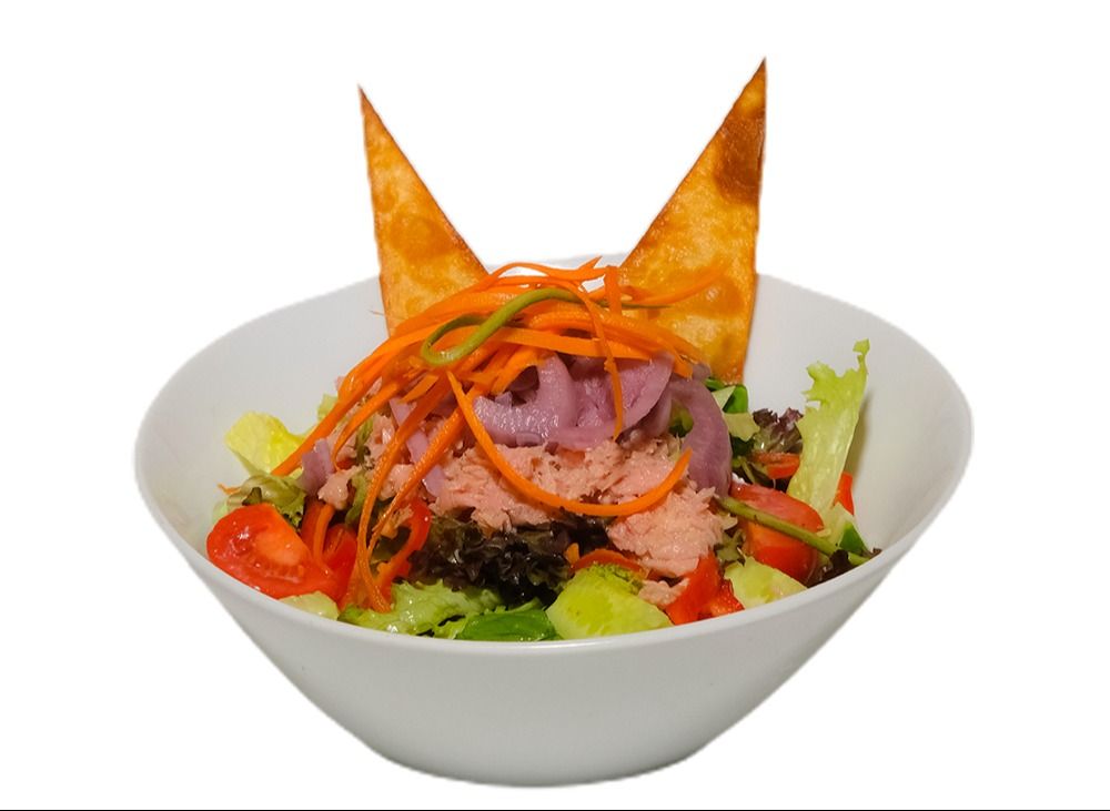 Ton Balıklı Salata