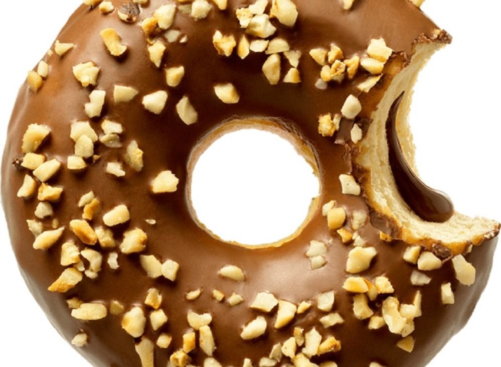 Nutzilla Donut