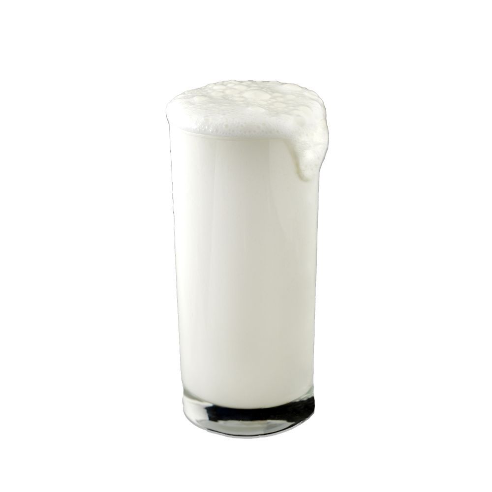 Neşecan Ayran (18 cl.)