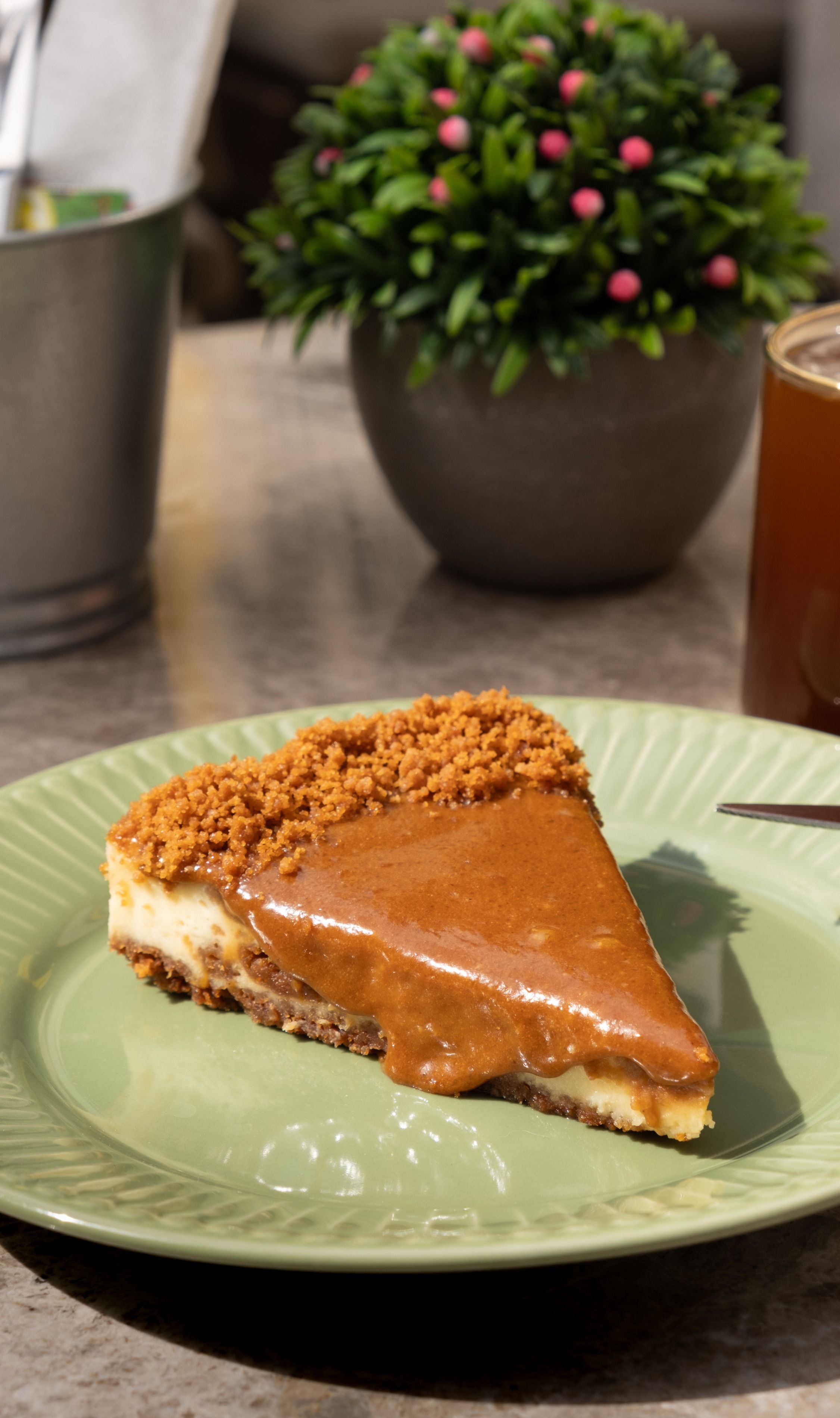 Lotus Cheesecake